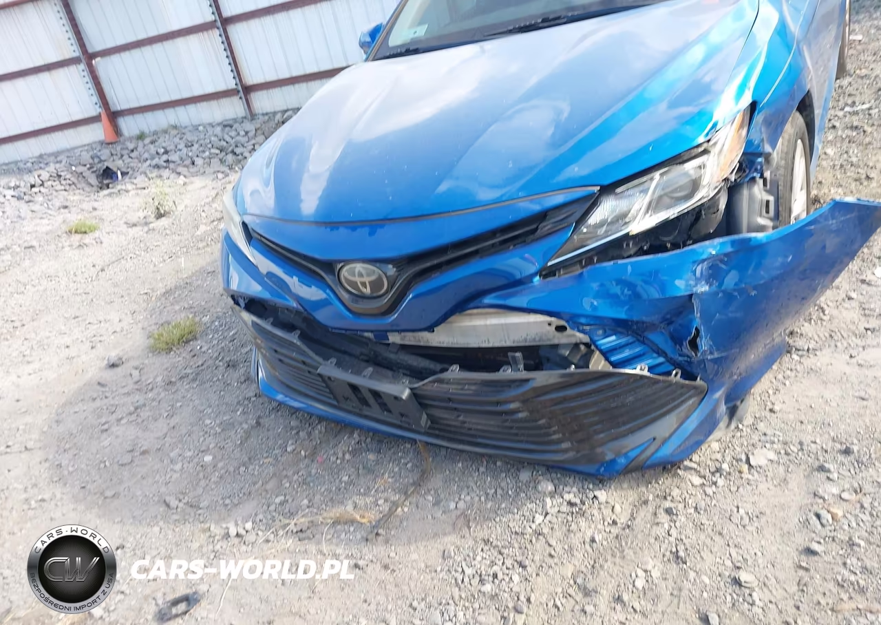 2019 Toyota Camry Le VIN:4T1B11HK0KU160842 - 18