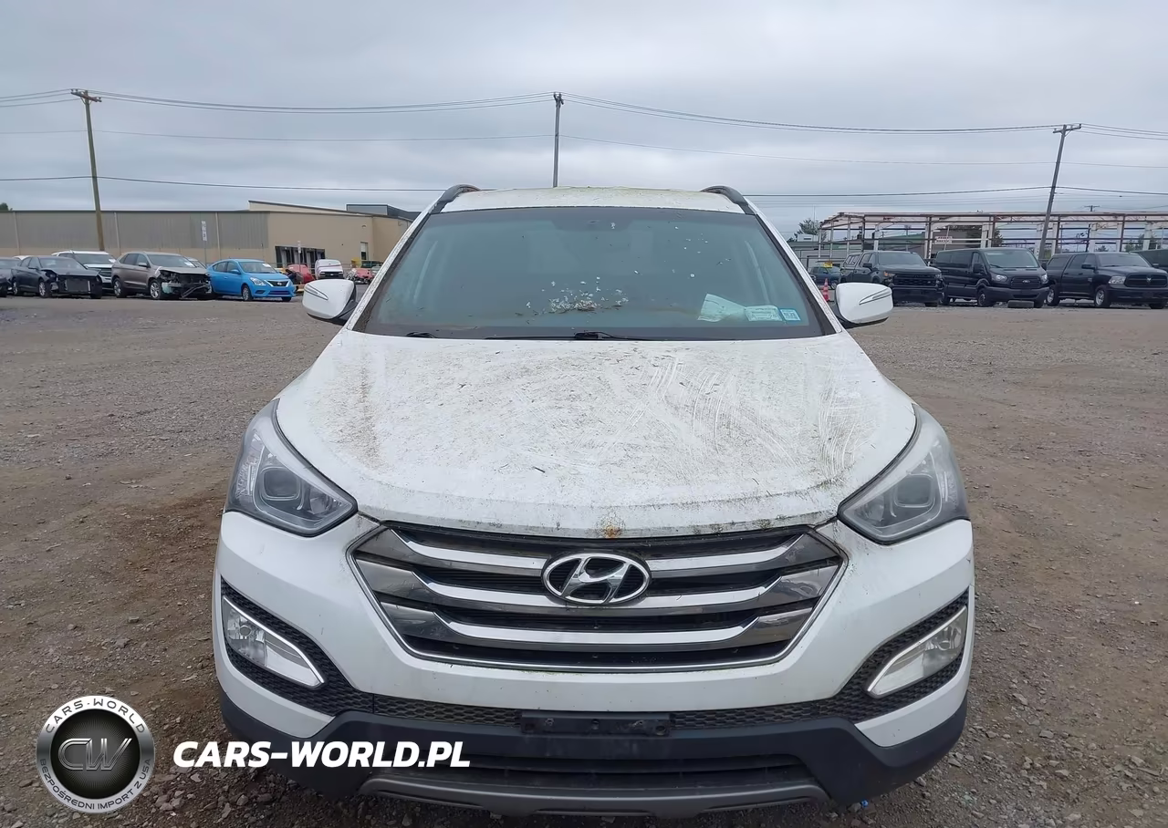 2014 Hyundai Santa Fe Sport 2.0L Turbo VIN:5XYZUDLA8EG216848 - 12
