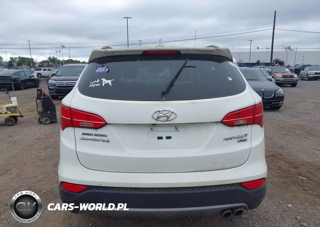 2014 Hyundai Santa Fe Sport 2.0L Turbo VIN:5XYZUDLA8EG216848 - 16