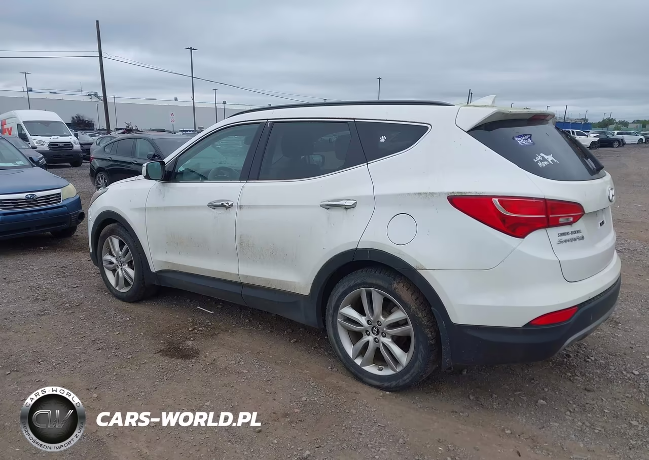 2014 Hyundai Santa Fe Sport 2.0L Turbo VIN:5XYZUDLA8EG216848 - 3