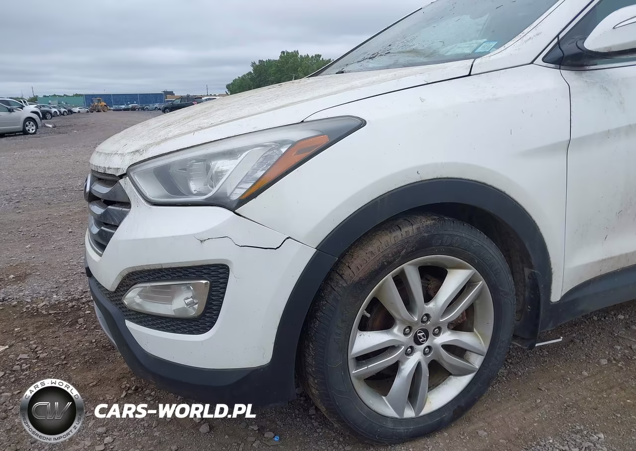 2014 Hyundai Santa Fe Sport 2.0L Turbo VIN:5XYZUDLA8EG216848 - 6