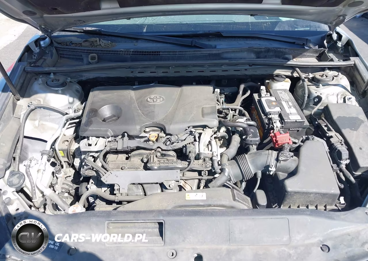 2019 Toyota Camry Se VIN:4T1B11HKXKU731768 - 10