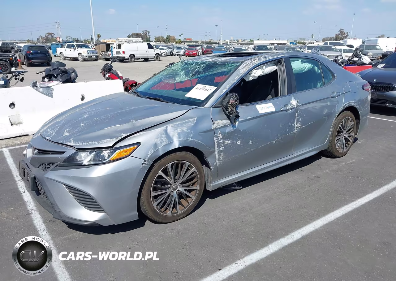 2019 Toyota Camry Se VIN:4T1B11HKXKU731768 - 2