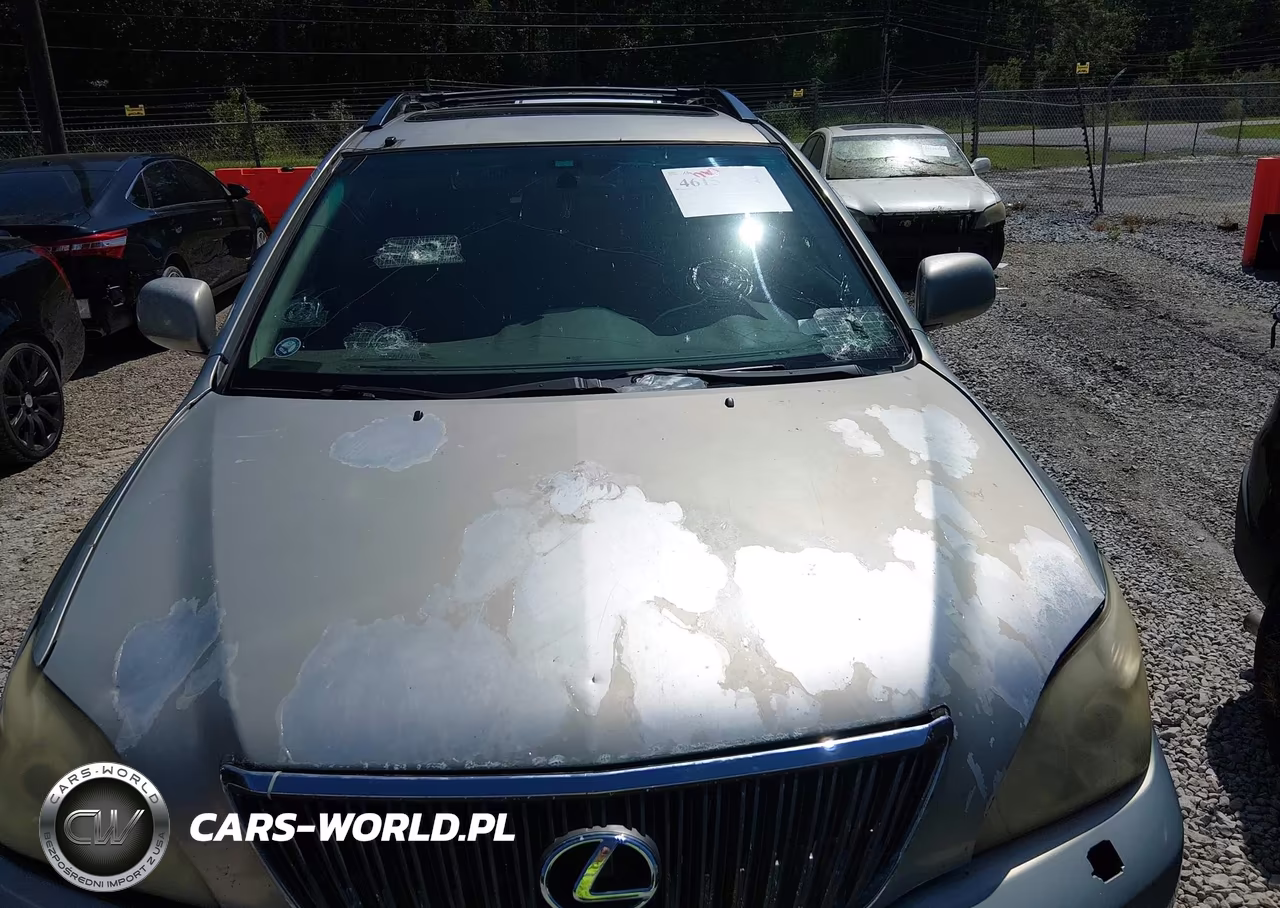 2004 Lexus Rx 330 VIN:JTJGA31U840012351 - 6