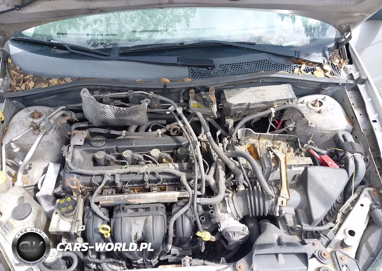 2009 Ford Focus Ses VIN:1FAHP36N59W204859 - 10