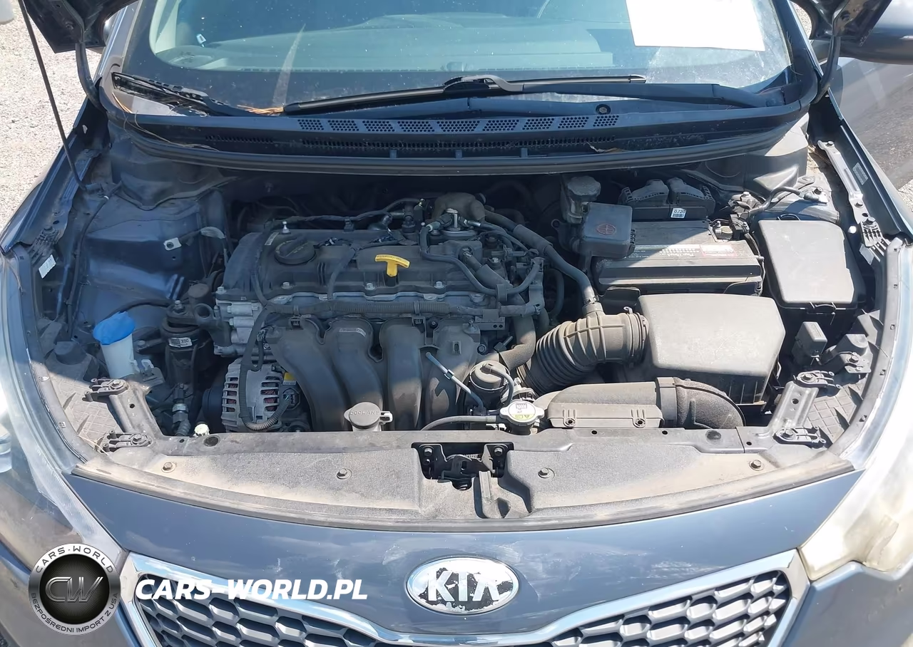 2015 Kia Forte Ex VIN:KNAFX4A87F5320765 - 10