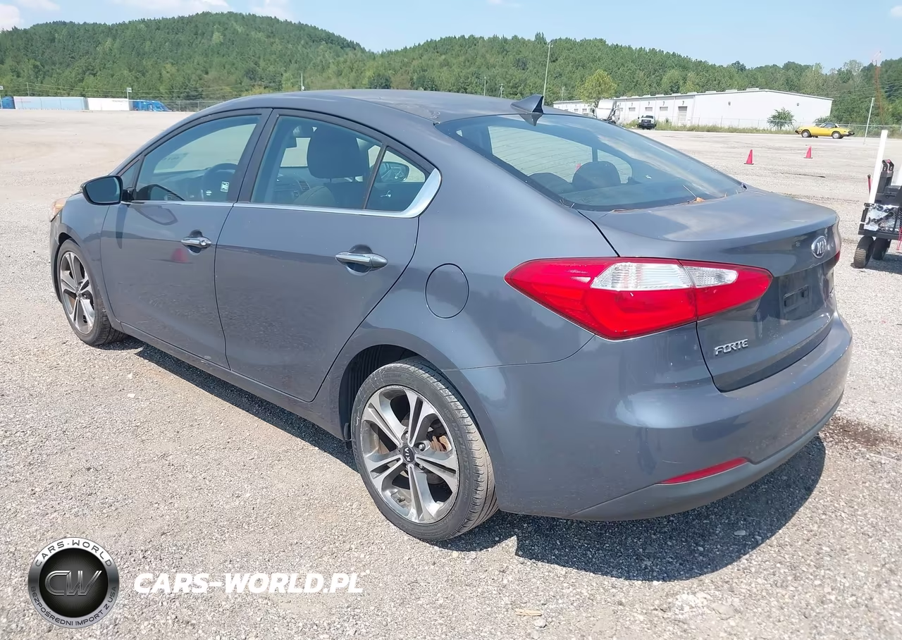 2015 Kia Forte Ex VIN:KNAFX4A87F5320765 - 3