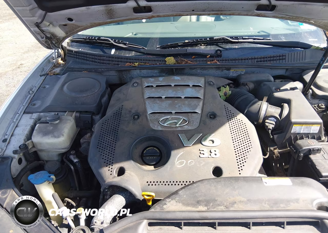 2007 Hyundai Azera Limited-Se VIN:KMHFC46F87A158705 - 10