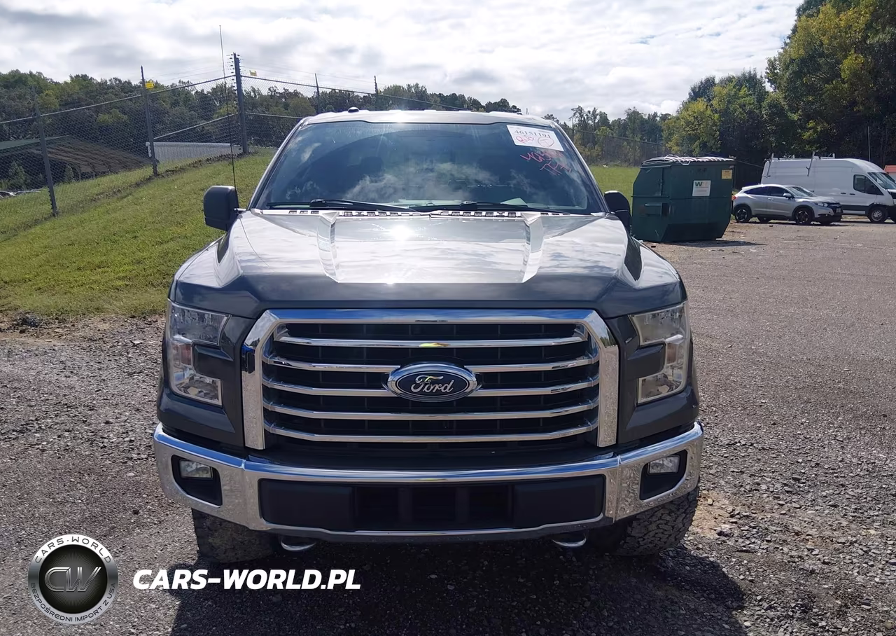 2017 Ford F-150 Xlt VIN:1FTEW1EP7HFC33608 - 12