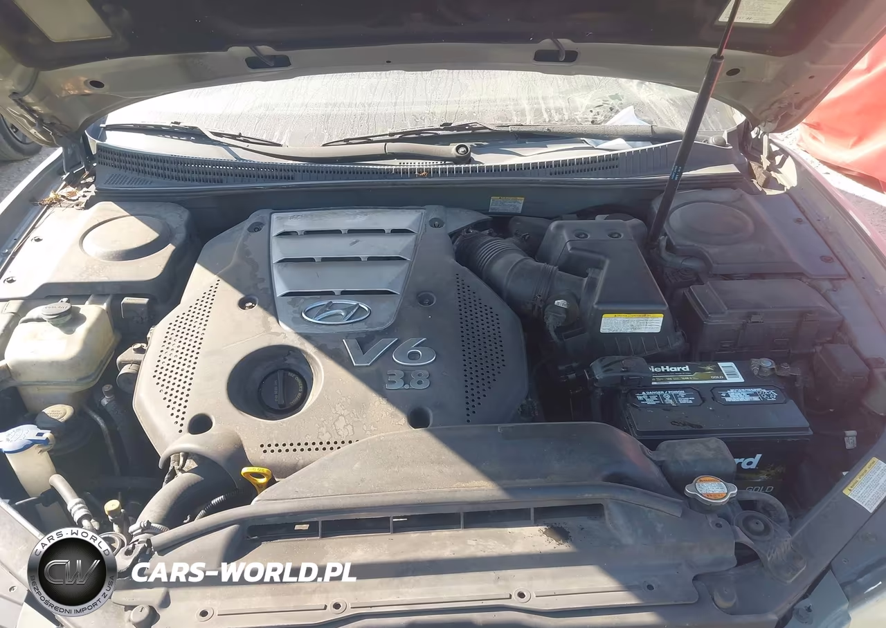 2006 Hyundai Azera Limited-Se VIN:KMHFC46F86A135617 - 10