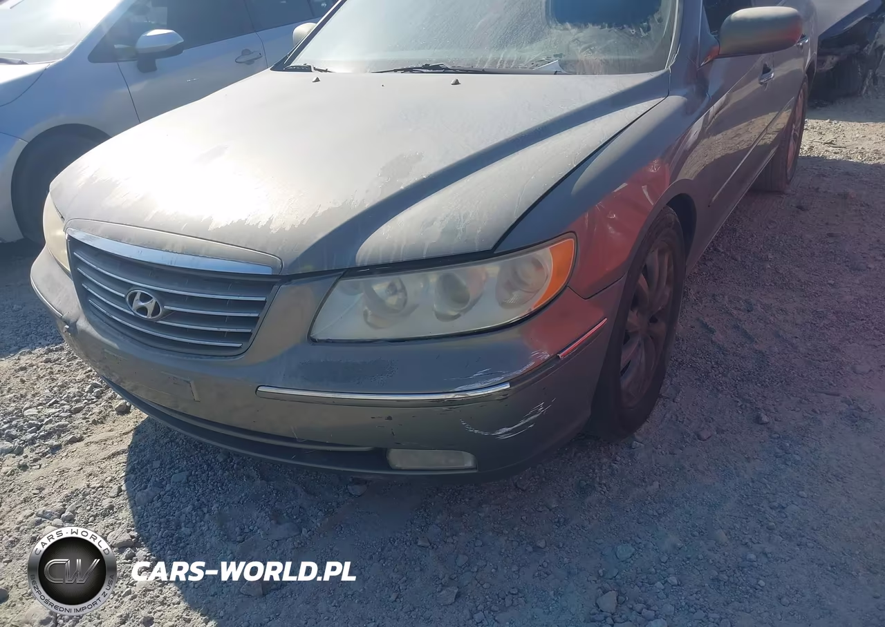 2006 Hyundai Azera Limited-Se VIN:KMHFC46F86A135617 - 6