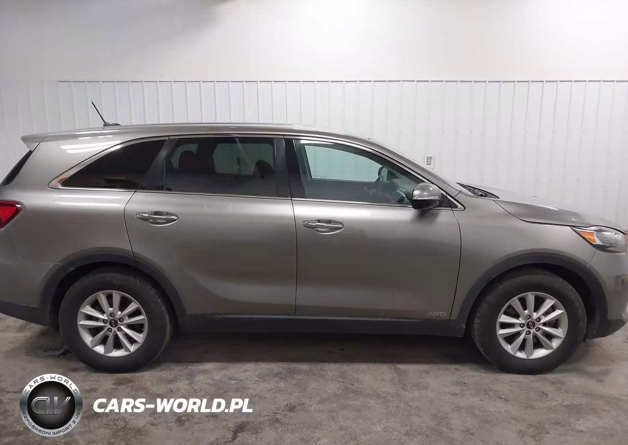 2019 Kia Sorento 3.3L Lx VIN:5XYPGDA58KG521010 - 13