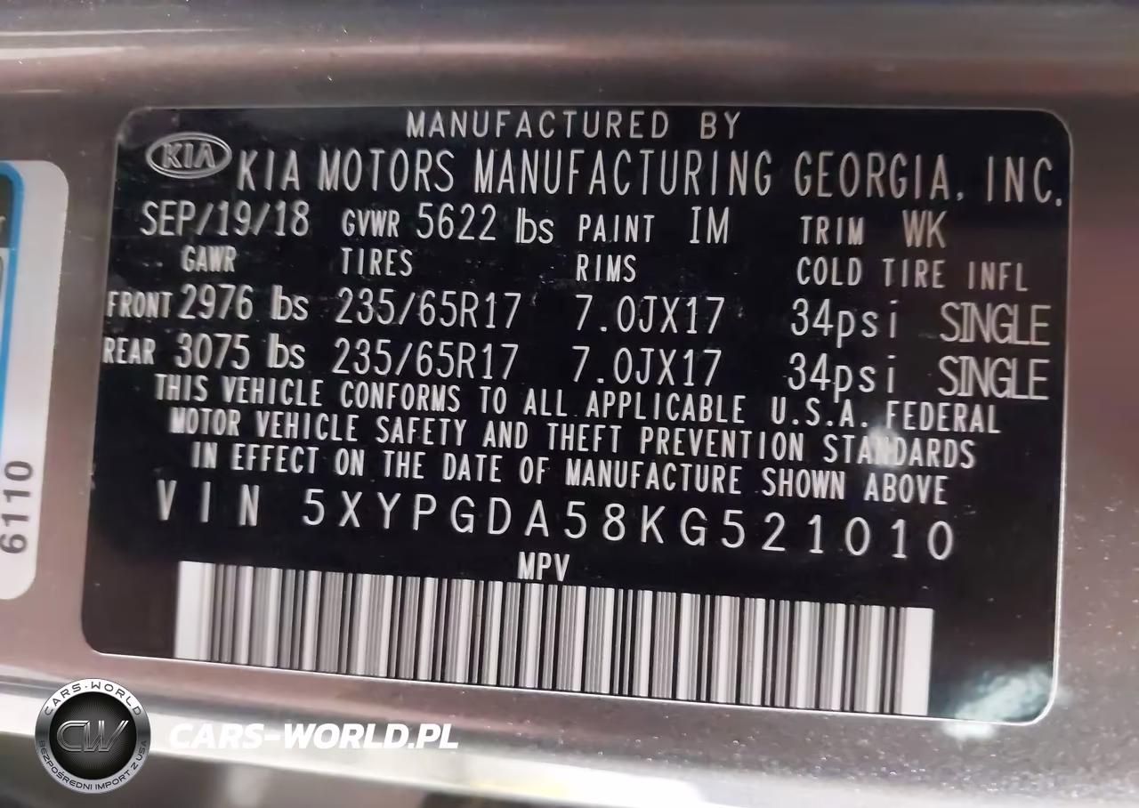 2019 Kia Sorento 3.3L Lx VIN:5XYPGDA58KG521010 - 9