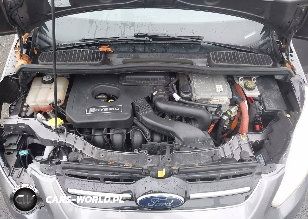 2013 Ford C-Max Hybrid Se VIN:1FADP5AU7DL504874 - 10