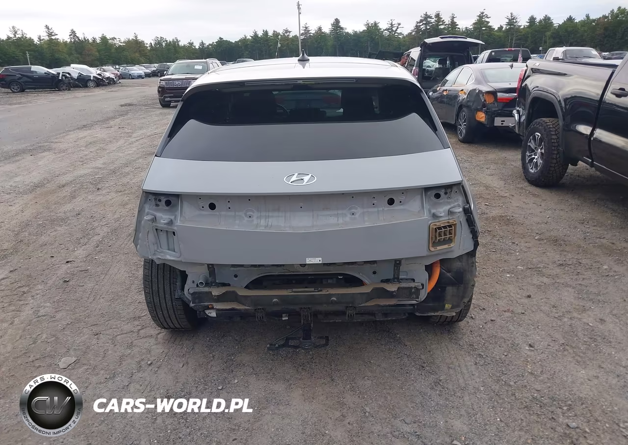2024 Hyundai Ioniq 5 Sel VIN:KM8KNDDF8RU304128 - 16