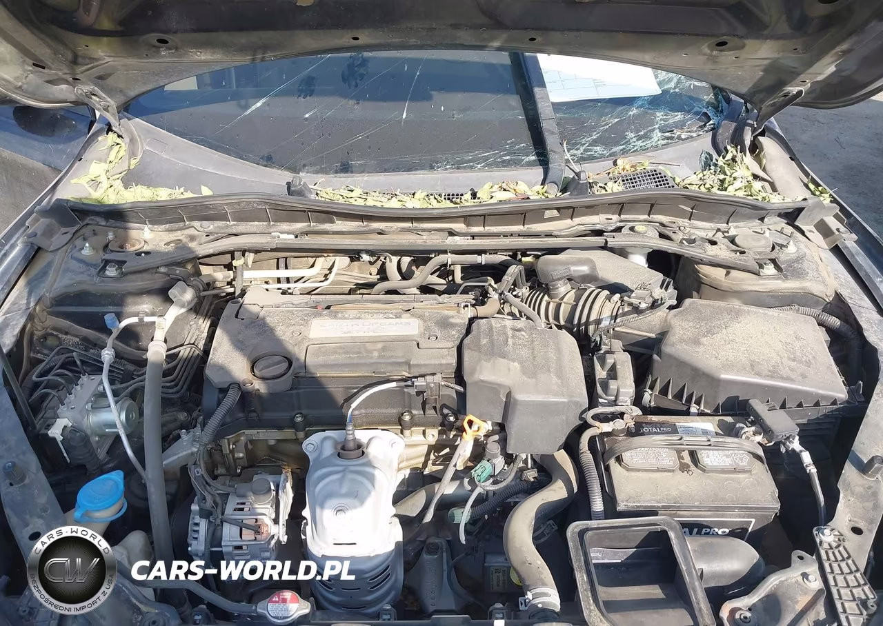 2013 Honda Accord Sport VIN:1HGCR2F58DA184879 - 10
