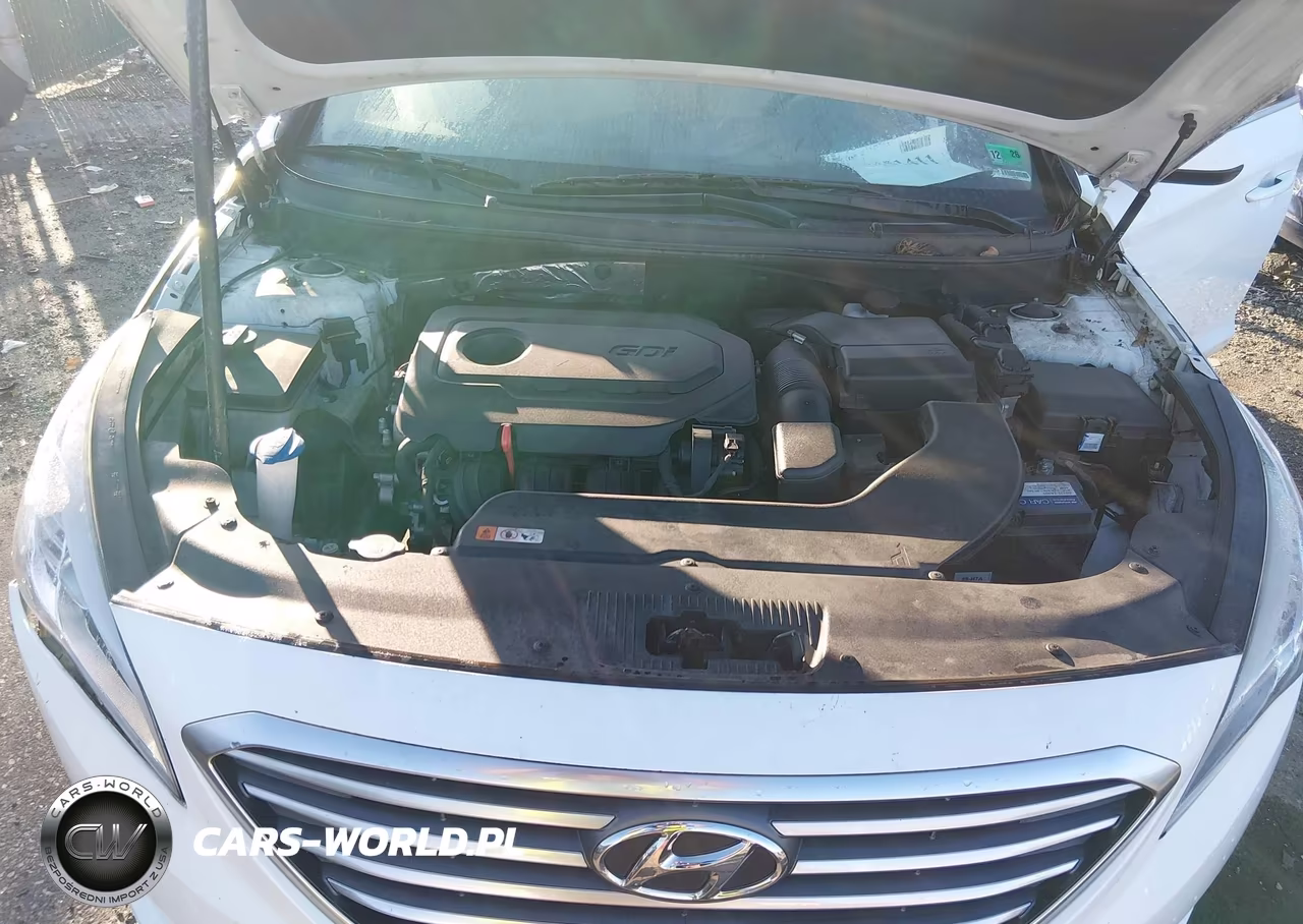 2015 Hyundai Sonata Se VIN:5NPE24AF8FH146121 - 10