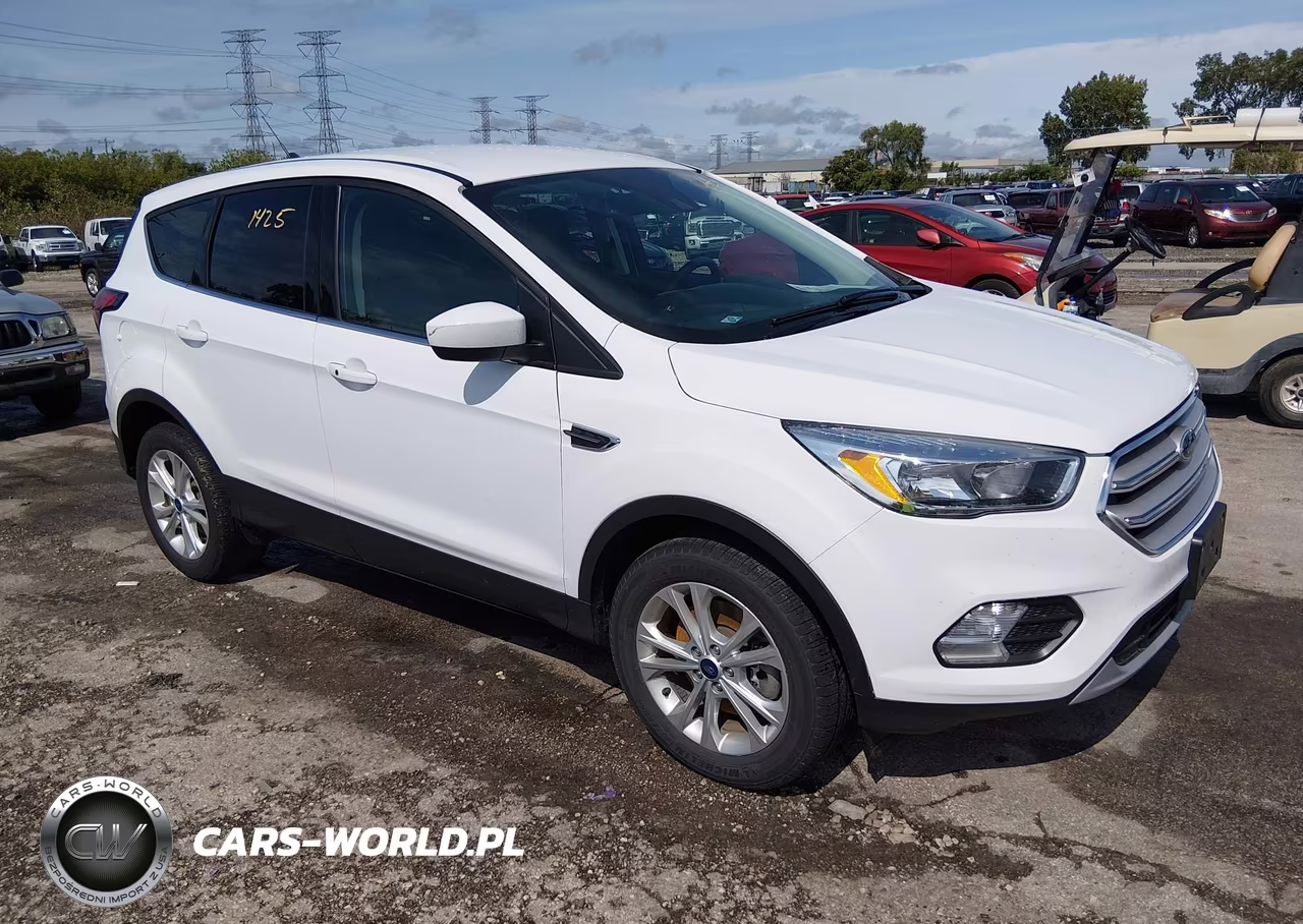 2019 Ford Escape Se