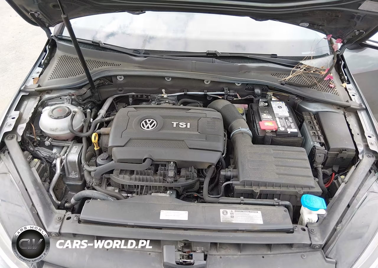 2018 Volkswagen Golf Tsi S-Tsi Se VIN:3VWG17AU4JM263304 - 10