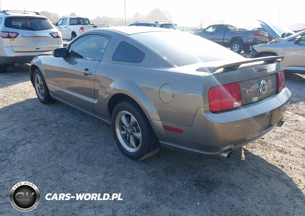 2005 Ford Mustang Gt Deluxe-Gt Premium VIN:1ZVFT82H755131940 - 3