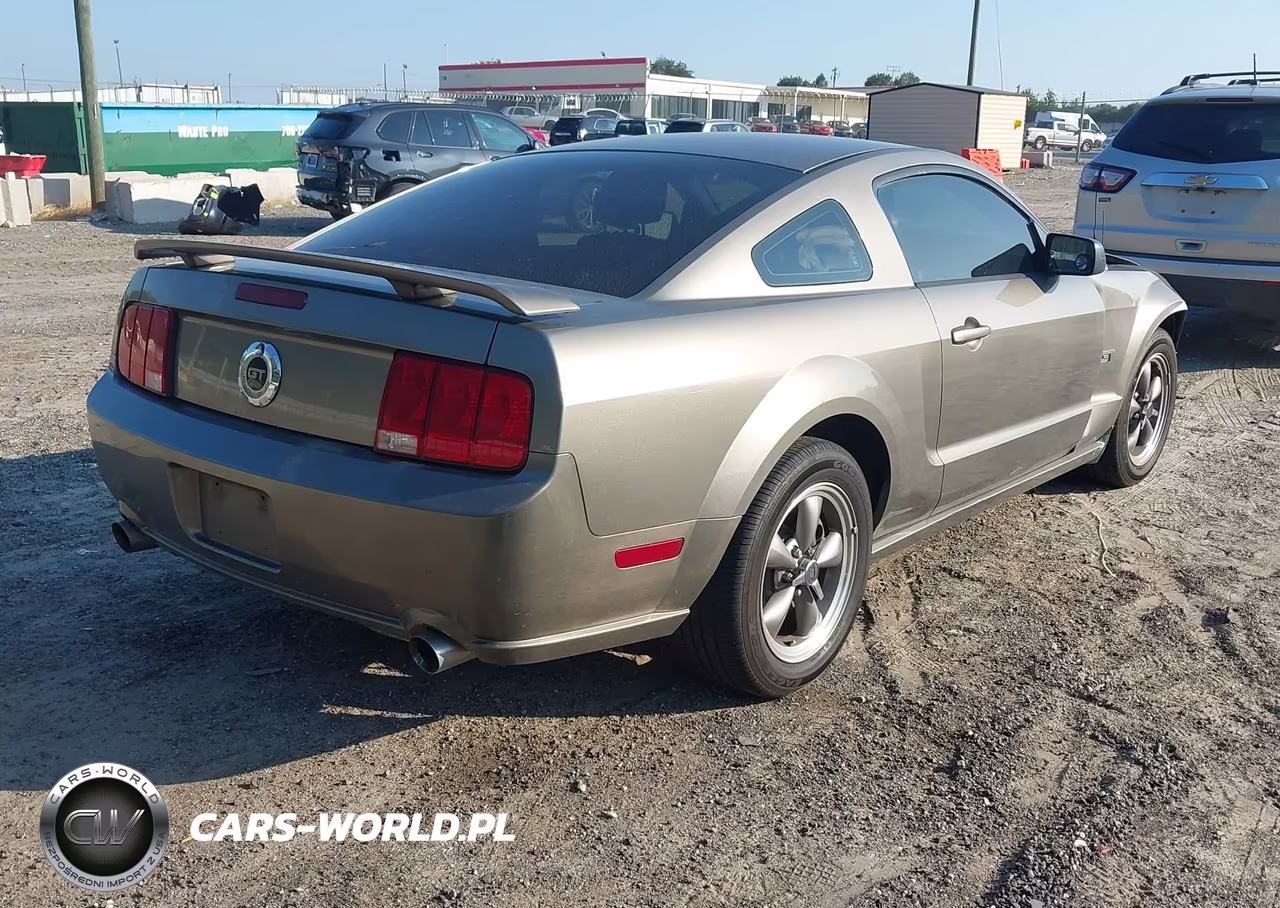 2005 Ford Mustang Gt Deluxe-Gt Premium VIN:1ZVFT82H755131940 - 4