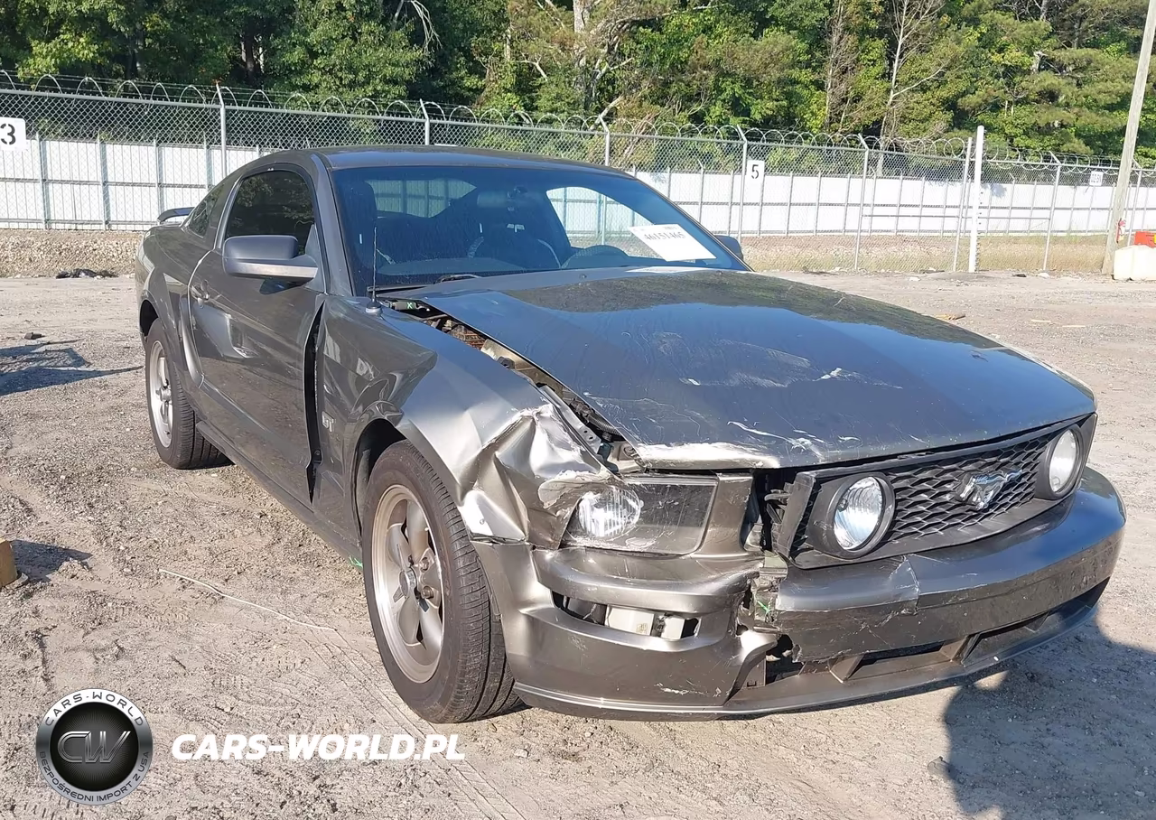2005 Ford Mustang Gt Deluxe-Gt Premium VIN:1ZVFT82H755131940 - 6