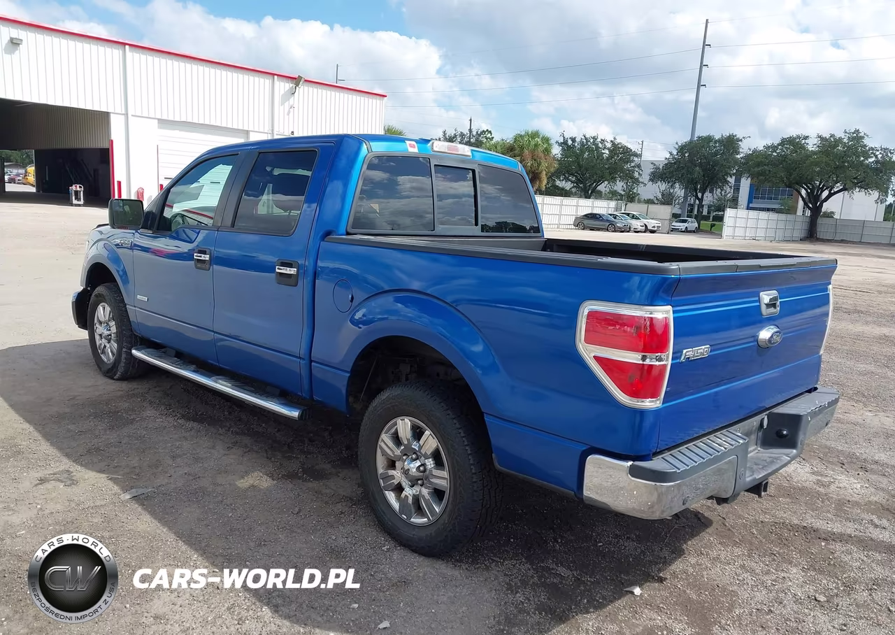 2013 Ford F-150 Xlt VIN:1FTFW1ET7DKF42868 - 3