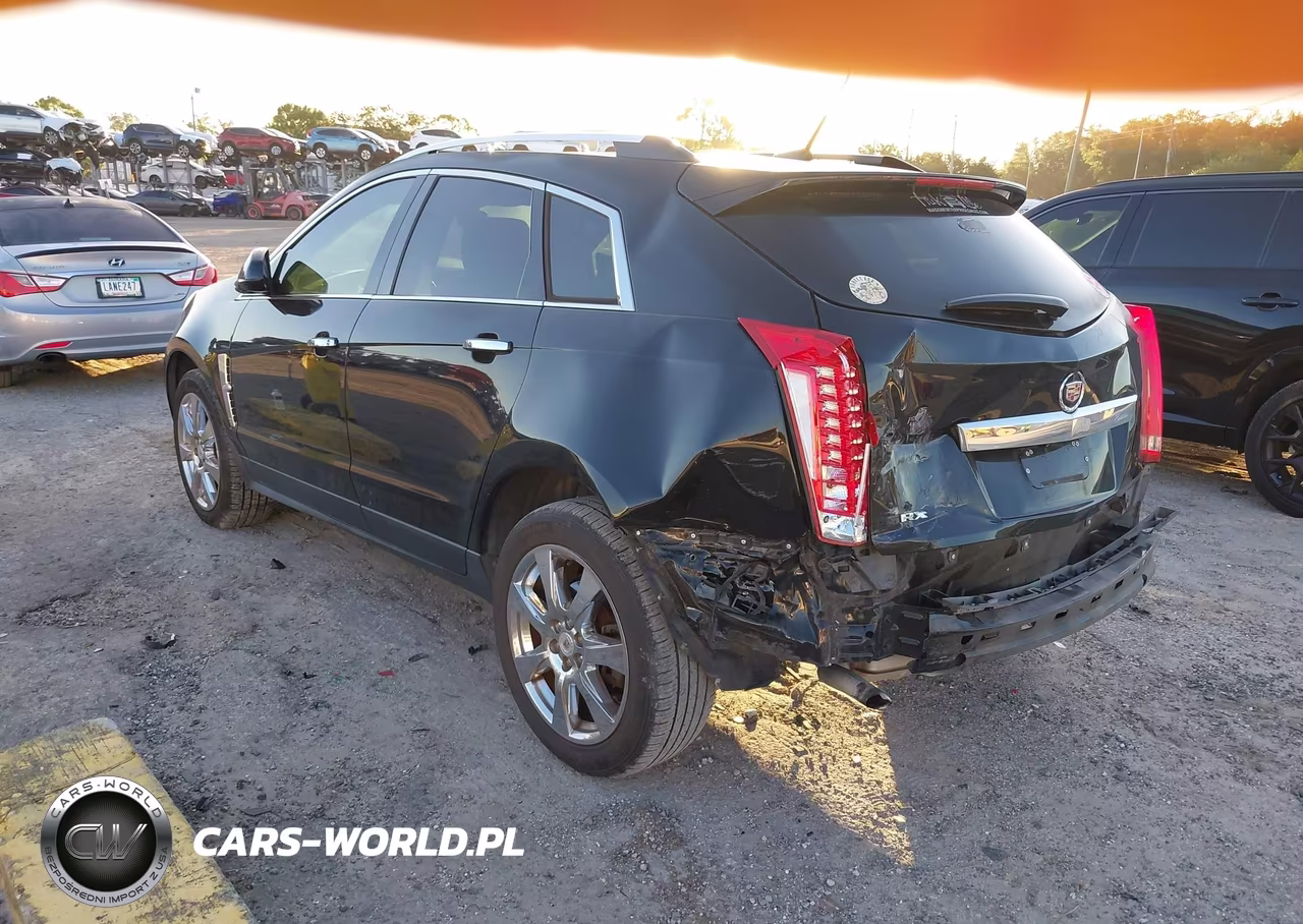 2010 Cadillac Srx Performance Collection VIN:3GYFNBEY3AS626023 - 3