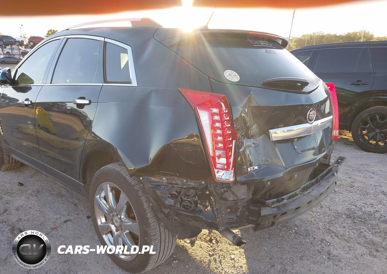 2010 Cadillac Srx Performance Collection VIN:3GYFNBEY3AS626023 - 6