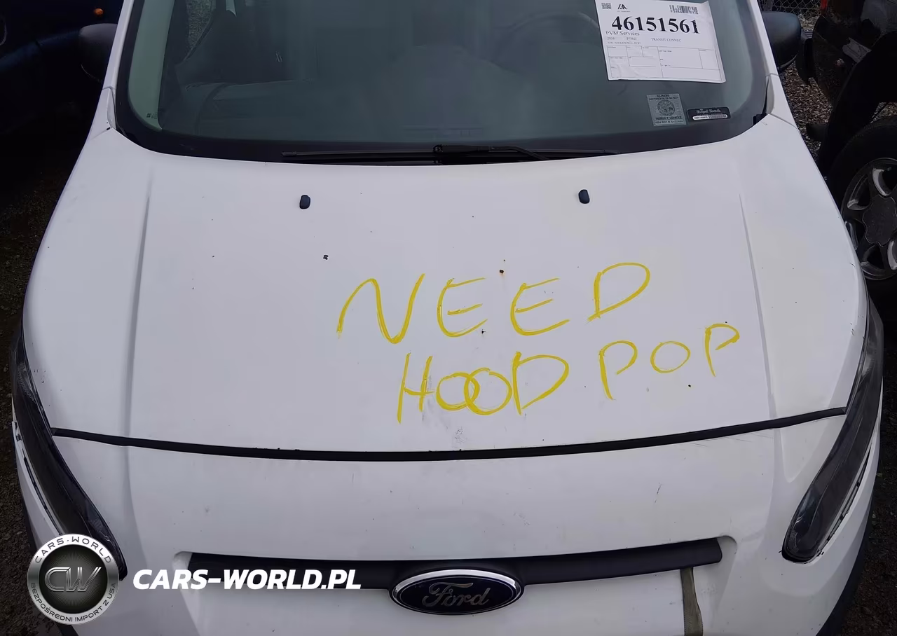 2016 Ford Transit Connect Xl VIN:NM0LS7E7XG1289587 - 10