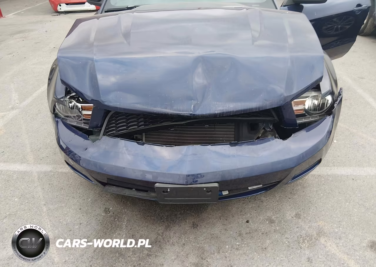 2010 Ford Mustang V6-V6 Premium VIN:1ZVBP8AN0A5164413 - 6