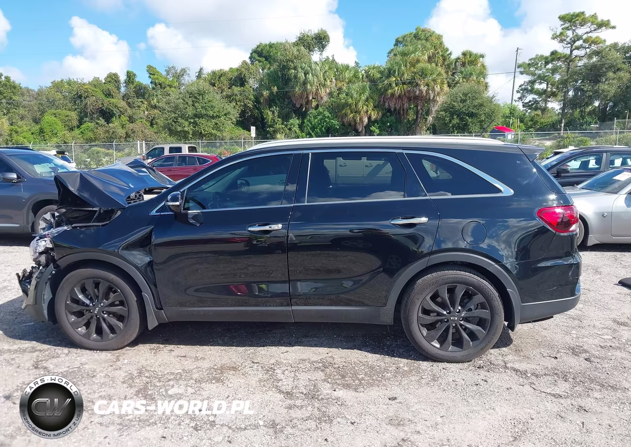 2020 Kia Sorento 3.3L Ex VIN:5XYPH4A52LG654215 - 14