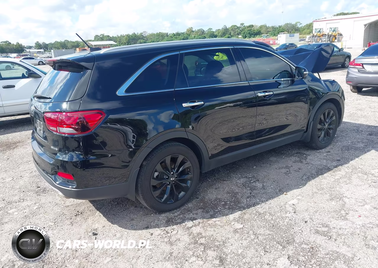 2020 Kia Sorento 3.3L Ex VIN:5XYPH4A52LG654215 - 4