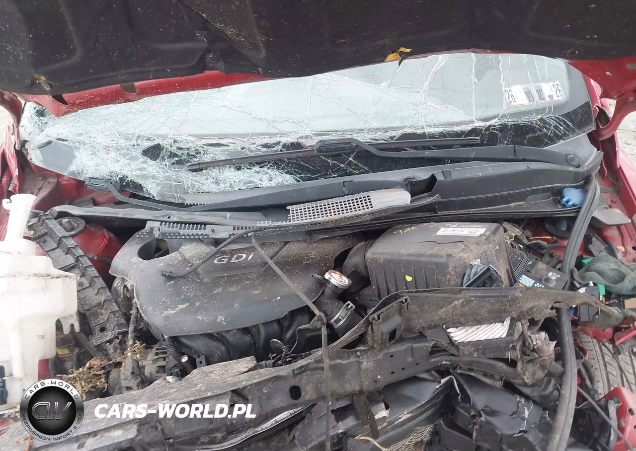 2015 Hyundai Accent Gls VIN:KMHCT4AE7FU917763 - 10