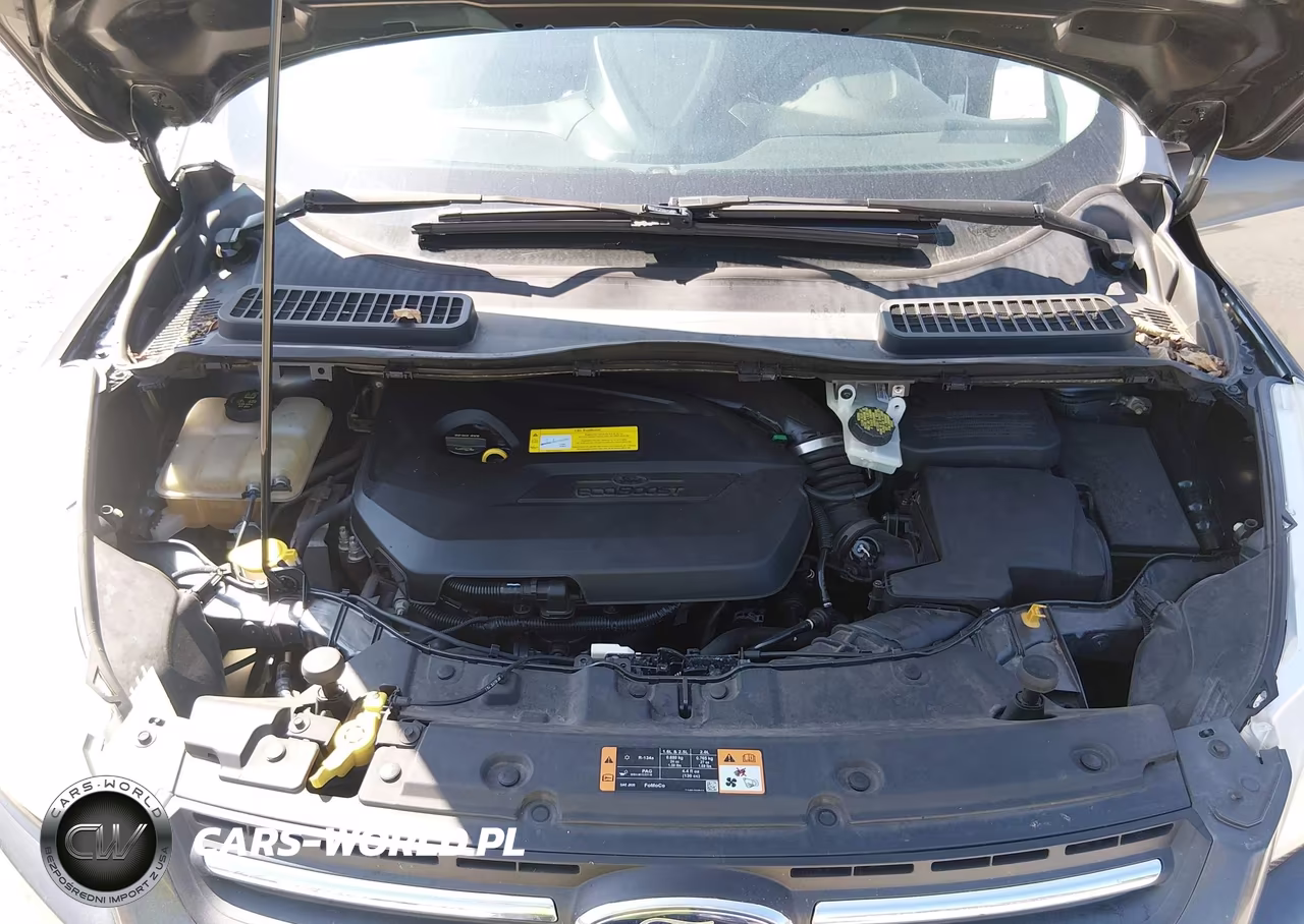 2015 Ford Escape Se VIN:1FMCU0GX6FUA90045 - 10