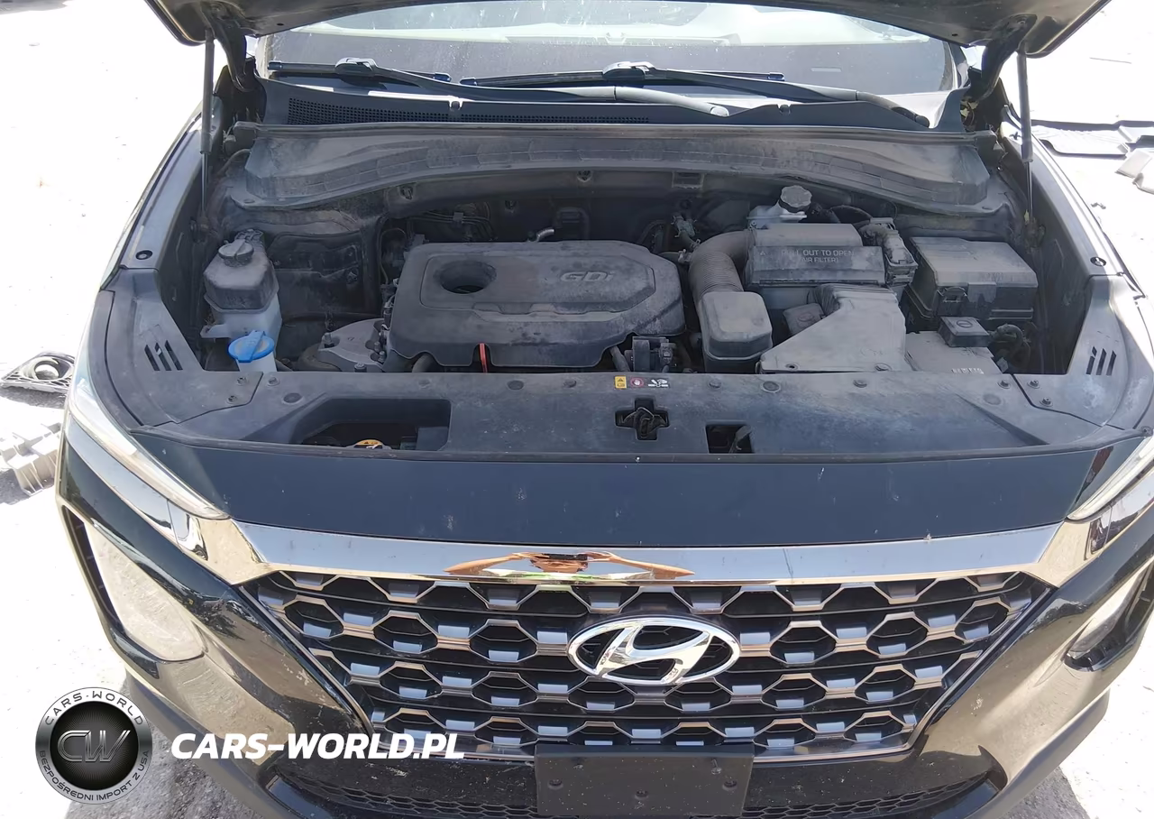 2019 Hyundai Santa Fe Se VIN:5NMS2CAD4KH088043 - 10