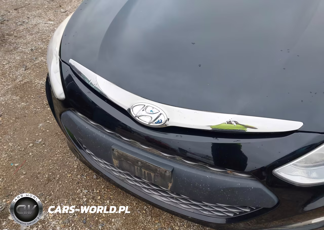 2012 Hyundai Sonata VIN:KMHEC4A48CA036020 - 6