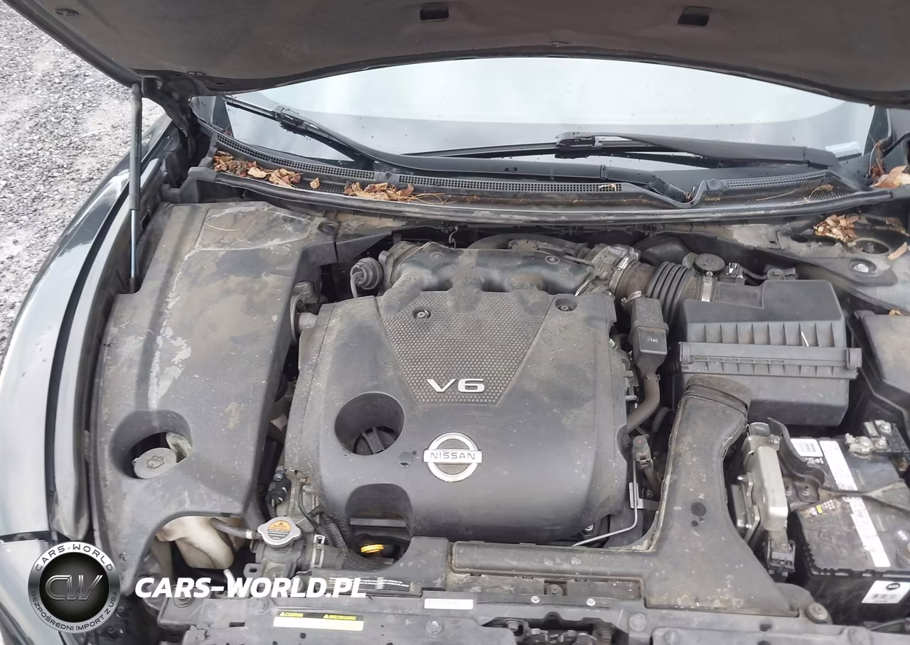 2009 Nissan Maxima 3.5 Sv VIN:1N4AA51E79C853151 - 10
