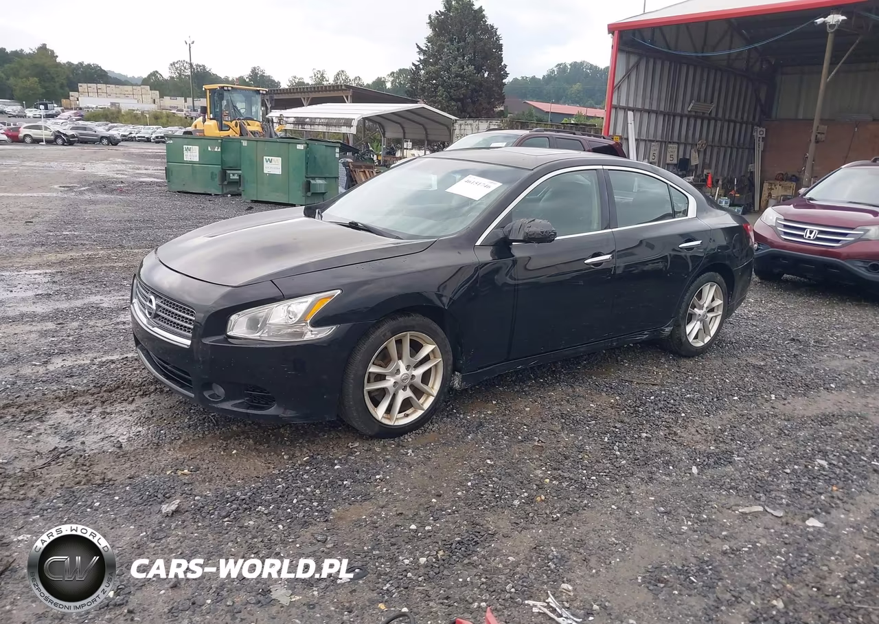 2009 Nissan Maxima 3.5 Sv VIN:1N4AA51E79C853151 - 2