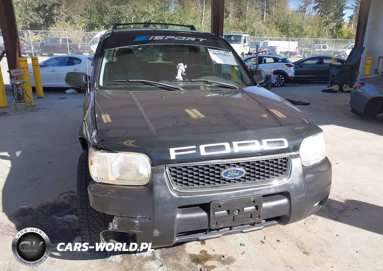 2004 Ford Escape Xlt VIN:1FMYU03174KA98980 - 12