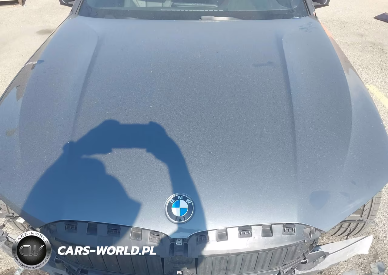 2019 BMW 330I VIN:WBA5R1C51KAJ99305 - 10