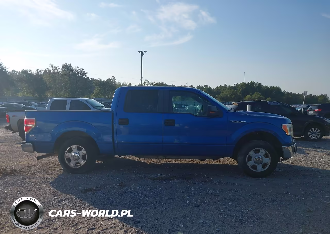 2010 Ford F-150 Fx2 Sport-Xl-Xlt VIN:1FTEW1C82AFA28005 - 13