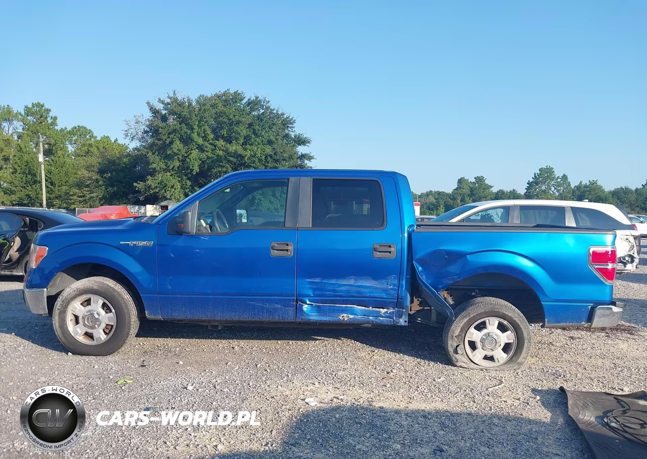 2010 Ford F-150 Fx2 Sport-Xl-Xlt VIN:1FTEW1C82AFA28005 - 14