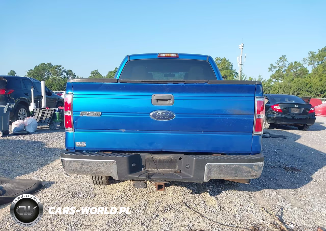2010 Ford F-150 Fx2 Sport-Xl-Xlt VIN:1FTEW1C82AFA28005 - 16
