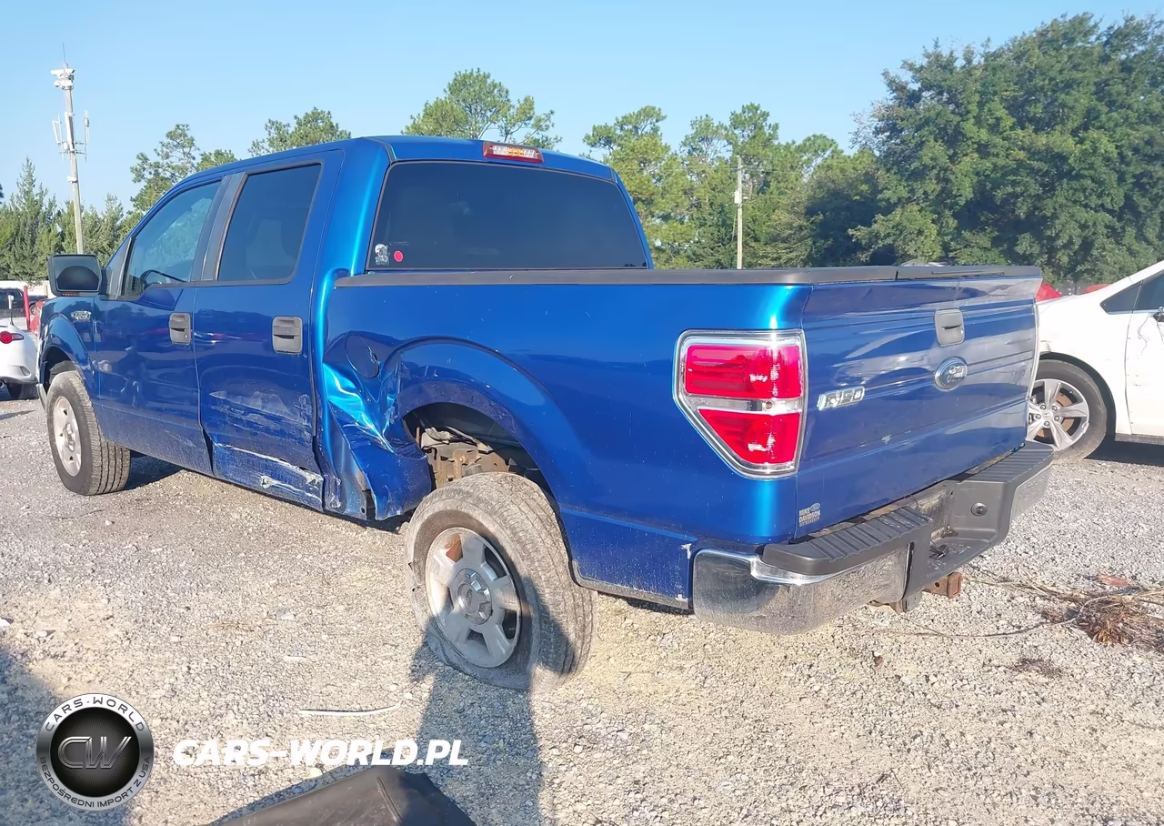 2010 Ford F-150 Fx2 Sport-Xl-Xlt VIN:1FTEW1C82AFA28005 - 3