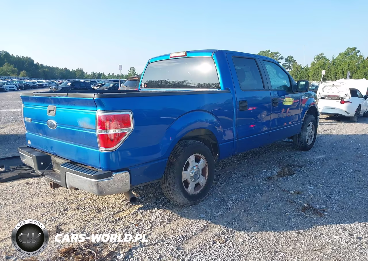 2010 Ford F-150 Fx2 Sport-Xl-Xlt VIN:1FTEW1C82AFA28005 - 4