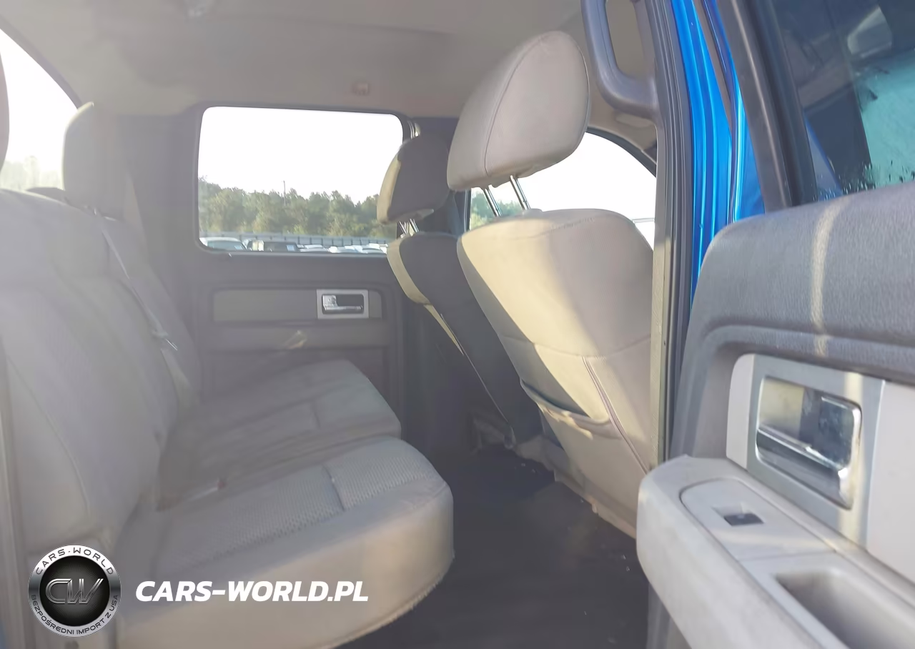 2010 Ford F-150 Fx2 Sport-Xl-Xlt VIN:1FTEW1C82AFA28005 - 8