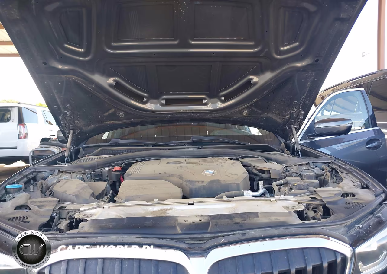 2020 BMW 330I VIN:WBA5R1C02LFH47002 - 10