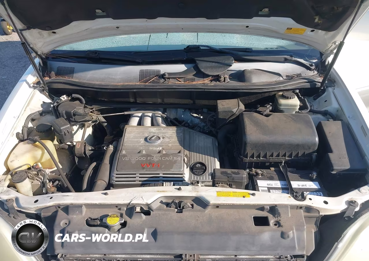 2003 Lexus Rx 300 VIN:JTJGF10U830158139 - 10