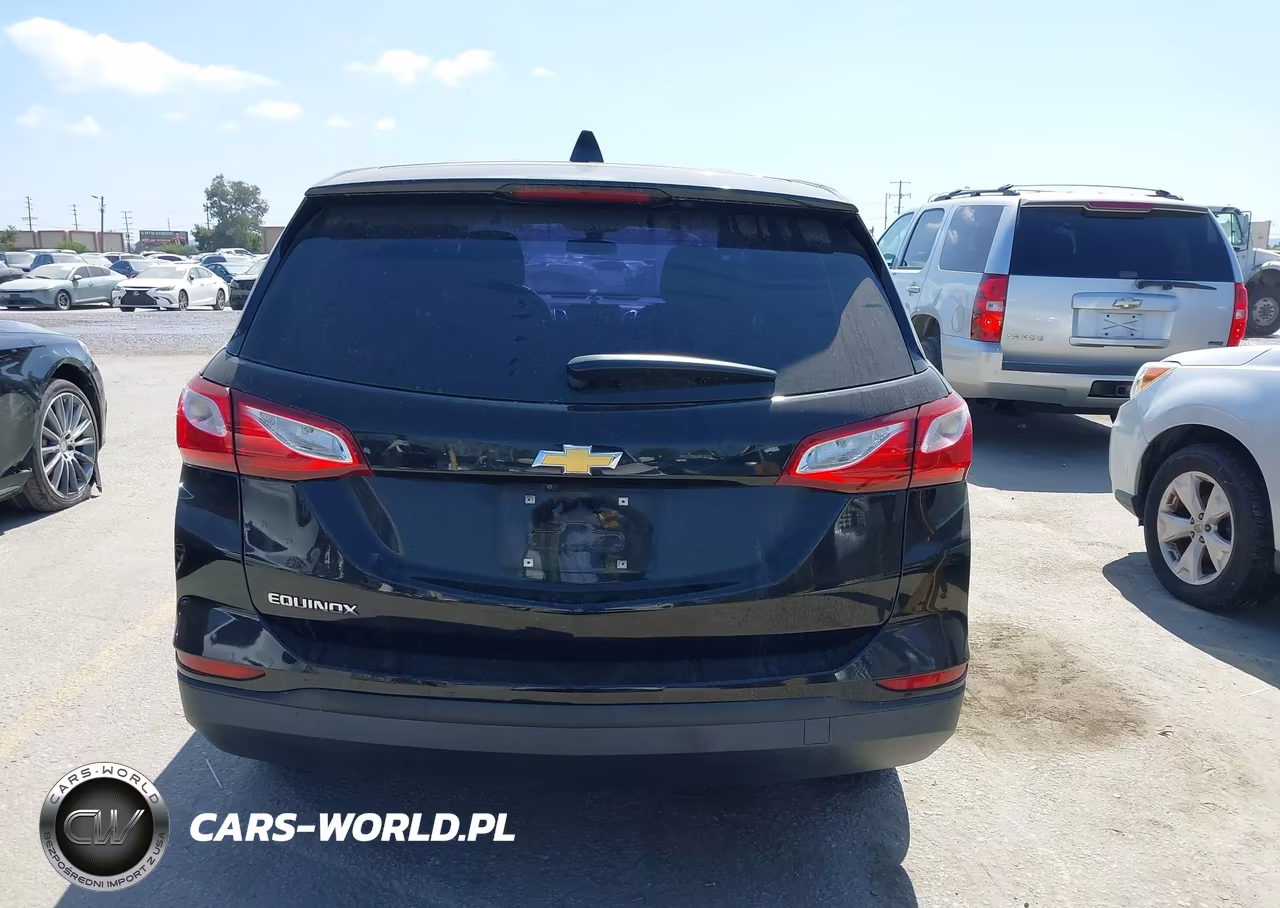 2019 Chevrolet Equinox Ls VIN:2GNAXHEVXK6216684 - 16
